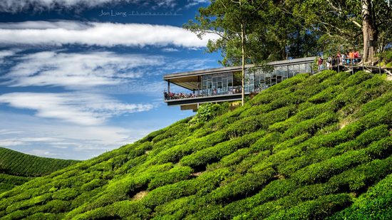 CAMERON HIGHLANDS & IPOH HERITAGE TOUR (3 NIGHTS & 4 DAYS ) – A BLEND OF NATURE & CULTURE
