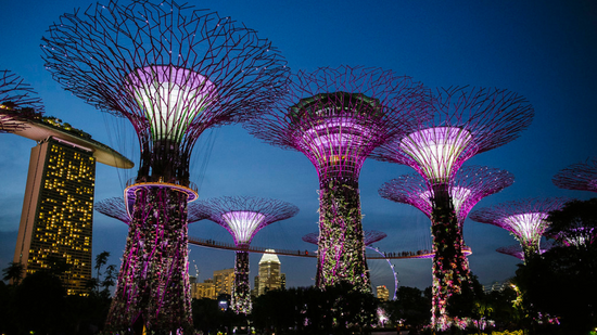SINGAPORE CRUISE & ISLAND HOPPING (5N/6D)