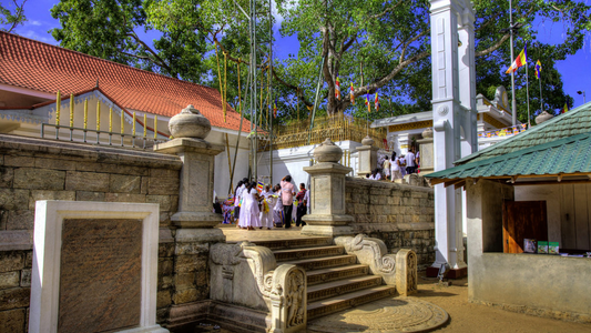SRI LANKA PILGRIMAGE TOUR (5N/6D)