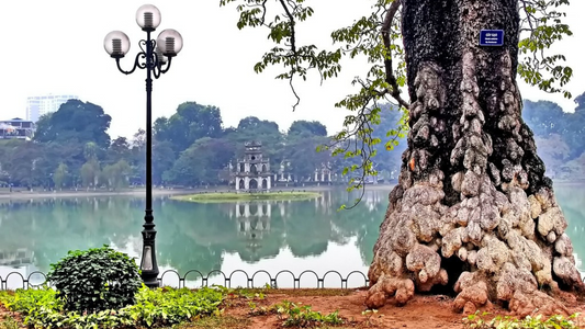 VIETNAM FAMILY FUN TOUR  (5N/6D)