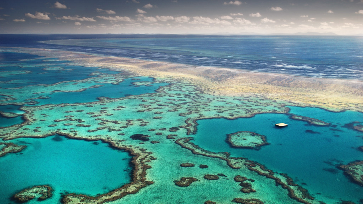 WILDLIFE & NATURE OF AUSTRALIA (06 NIGHTS & 07 DAYS)
