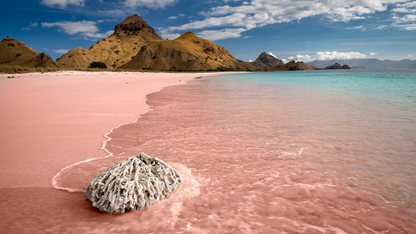 KOMODO ISLAND & FLORES ADVENTURE (5 NIGHTS & 6 DAYS )