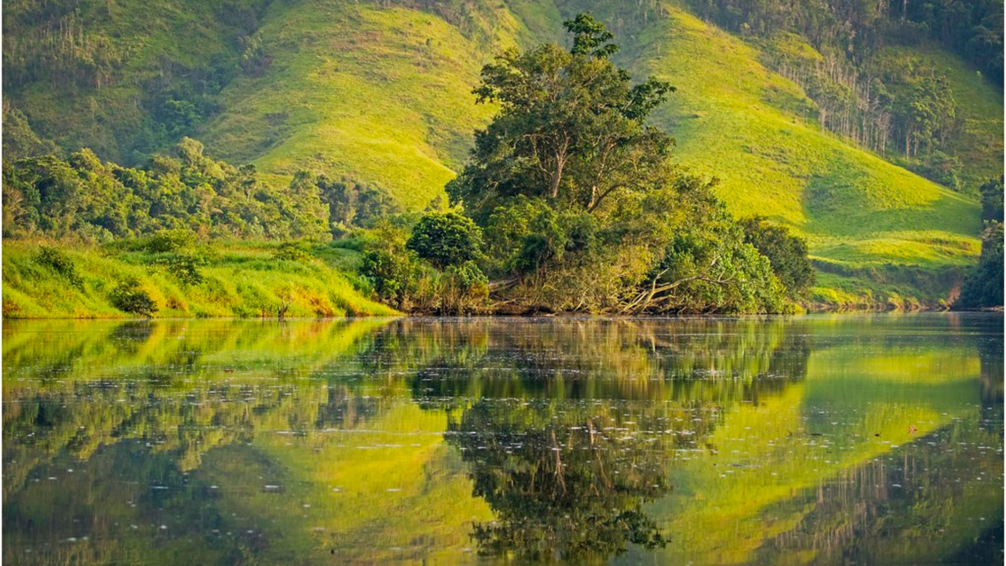 WILDLIFE & NATURE OF AUSTRALIA (06 NIGHTS & 07 DAYS)