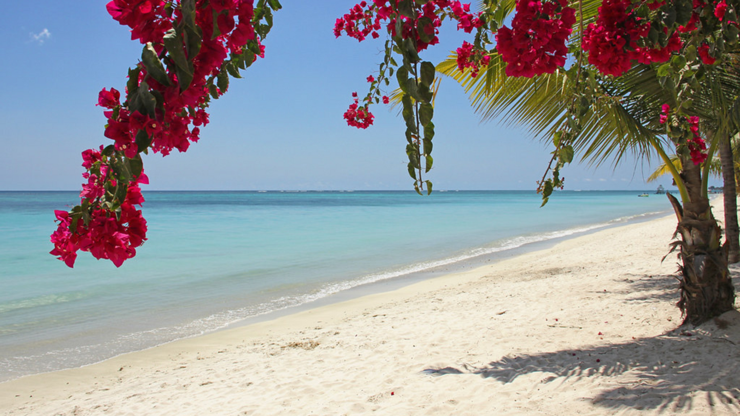 MAURITIUS GOLF & LEISURE TOUR (4N/5D)