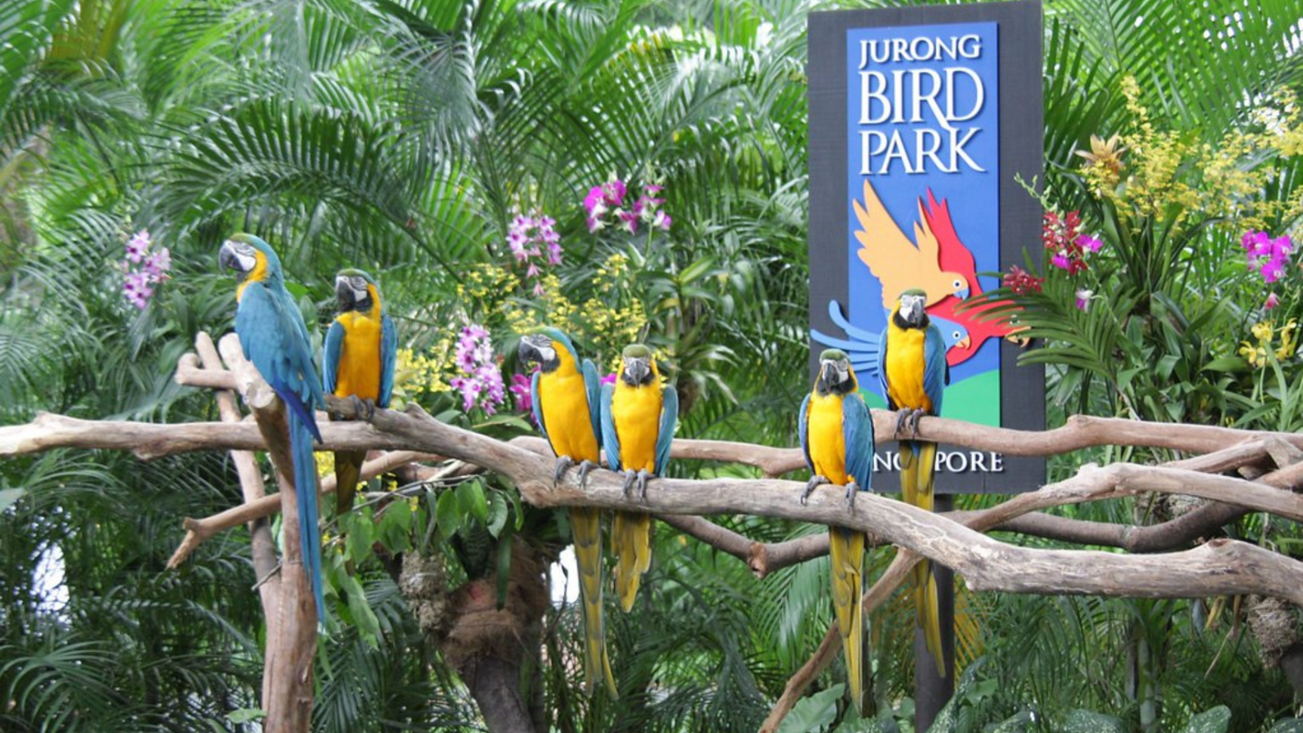 SINGAPORE ADVENTURE & THEME PARK TOUR (4N/5D)