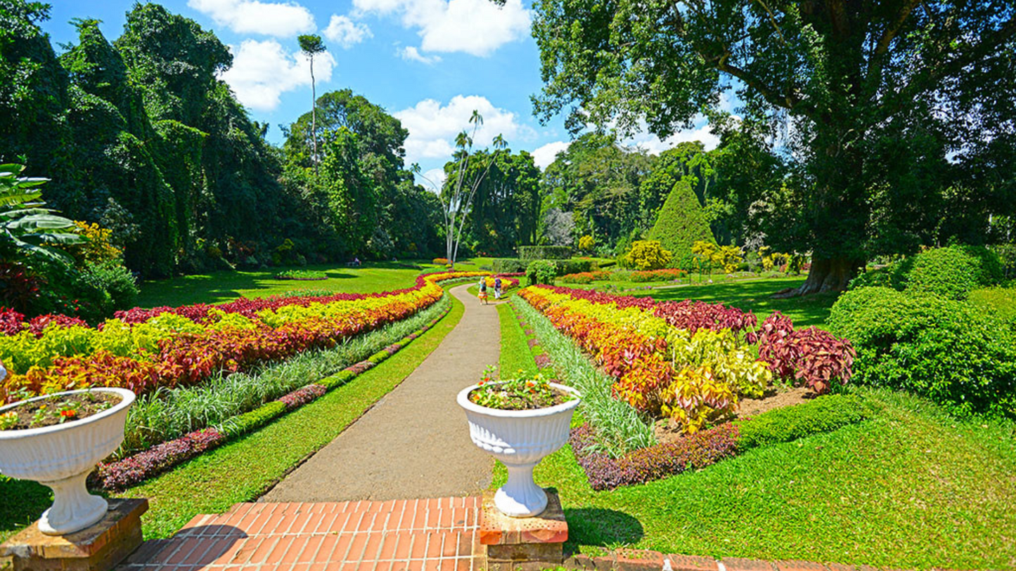 SRI LANKA HERITAGE & CULTURE TOUR (5N/6D)
