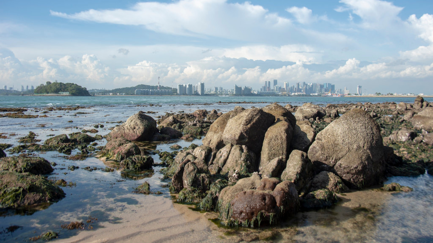 SINGAPORE CRUISE & ISLAND HOPPING (5N/6D)