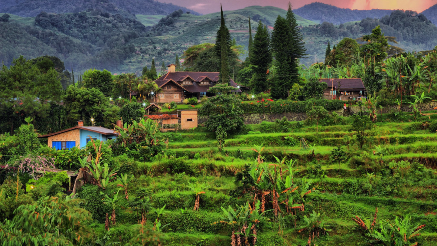 BALI & KOMODO ISLAND TRIP 6 NIGHTS & 7 DAYS