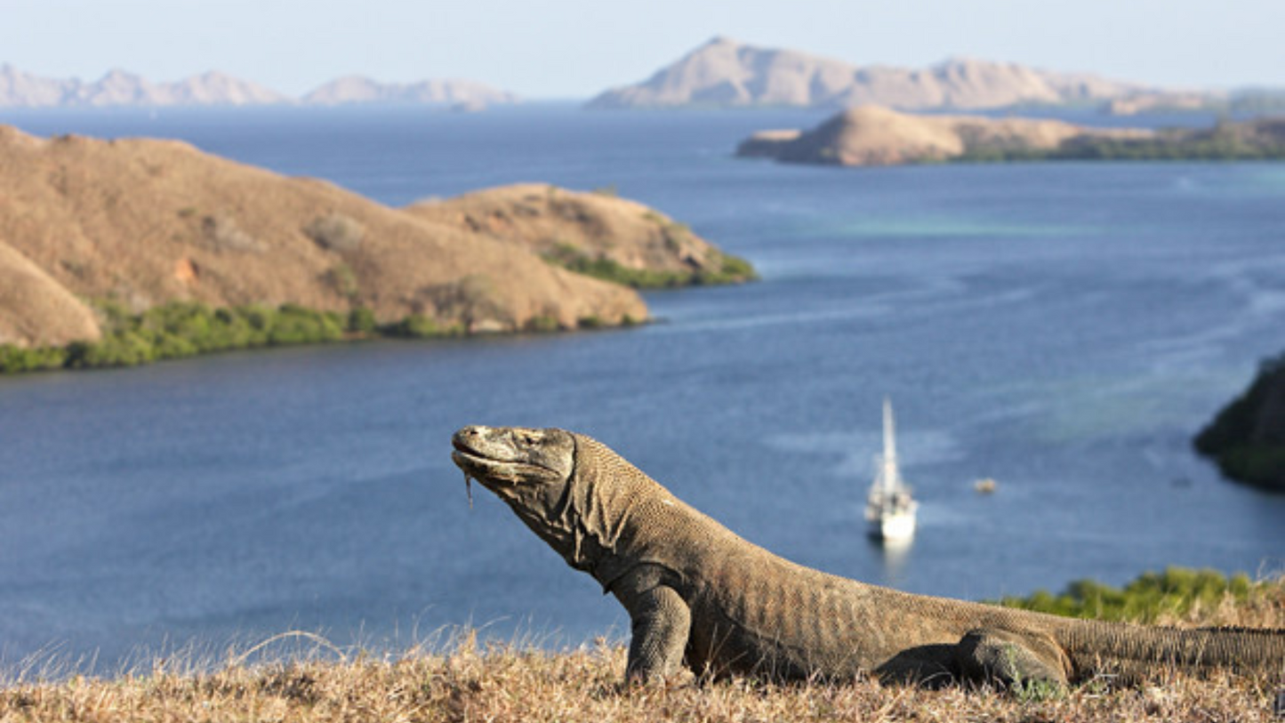BALI & KOMODO ISLAND TRIP 6 NIGHTS & 7 DAYS