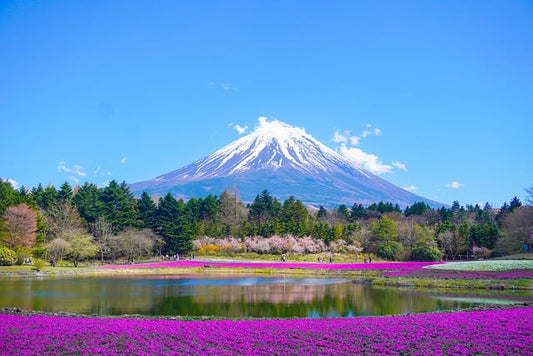 AHMEDABAD TO HILL STATION JOURNEY PACKAGE 2 NIGHTS & 3 DAYS