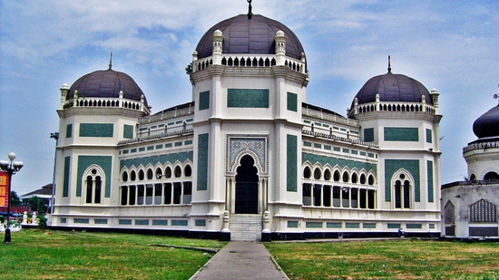 SUMATRA WILDLIFE & LAKE TOBA TOUR (5 NIGHTS & 6 DAYS )