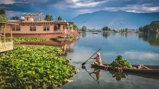 UNWIND AMIDST NATURE SONMARG 2 NIGHTS & 3DAYS TRIP