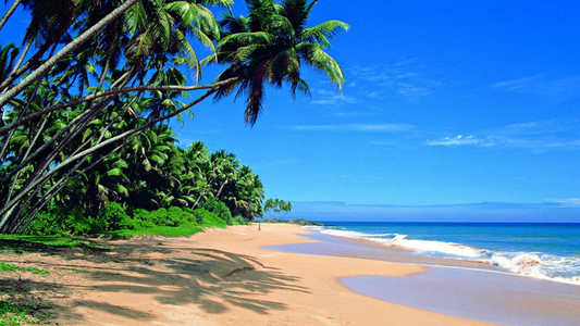 SRI LANKA BEACH & RELAXATION GETAWAY (4N/5D)