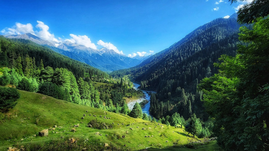 A ROMANTIC RETREAT PAHALGAM TRIP 3 NIGHTS & 4 DAYS