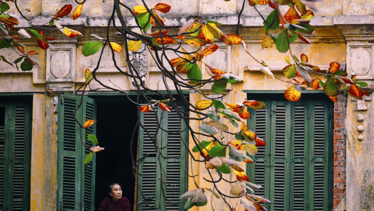 VIETNAM FESTIVAL & CULTURE TOUR (3N/4D)