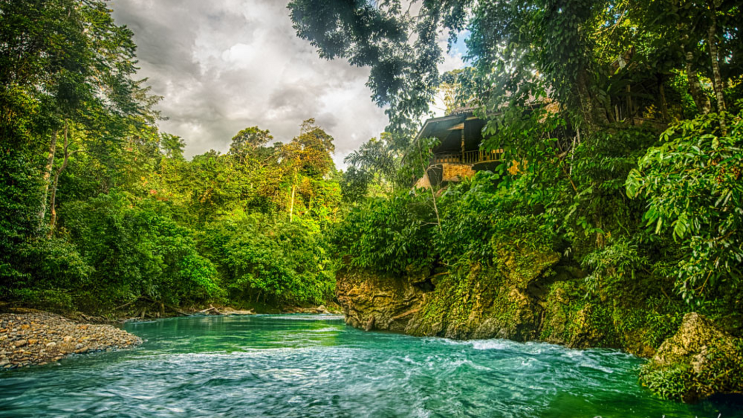 SUMATRA WILDLIFE & LAKE TOBA TOUR (5 NIGHTS & 6 DAYS )