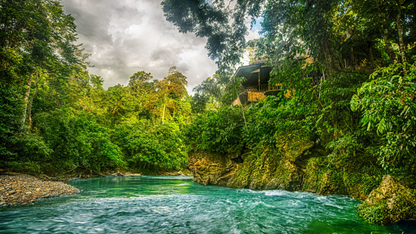 SUMATRA WILDLIFE & LAKE TOBA TOUR (5 NIGHTS & 6 DAYS )