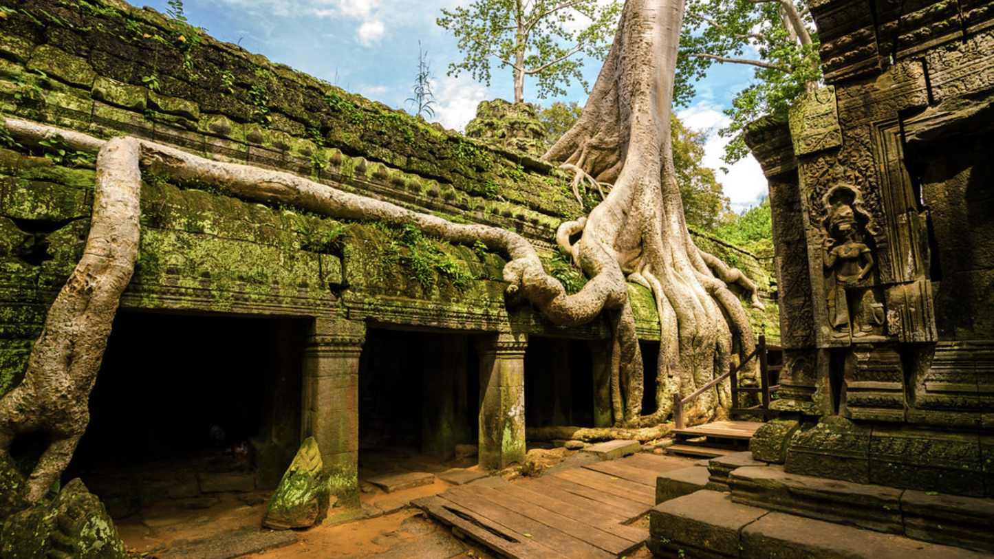 FAMILY FUN CAMBODIA VACATION (4N/5D)