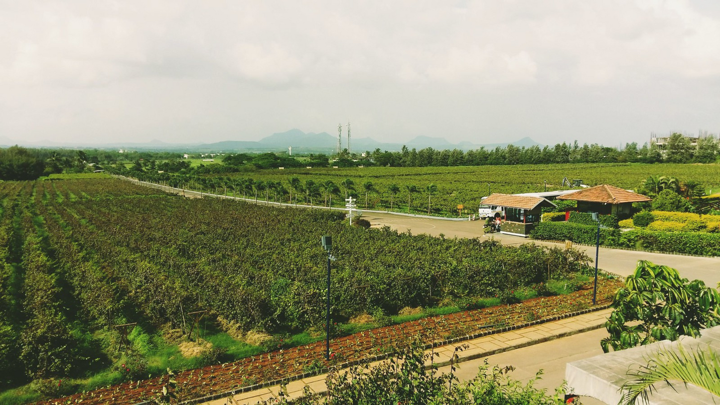 NASHIK WINE & TEMPLE TOUR 2 NIGHTS & 3 DAYS
