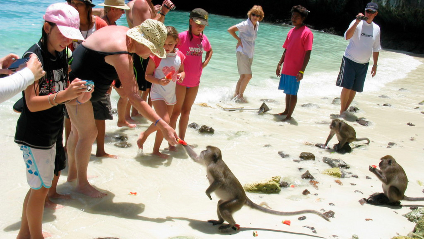 PHUKET ADVENTURE & WATER SPORTS TOUR (4N/5D)