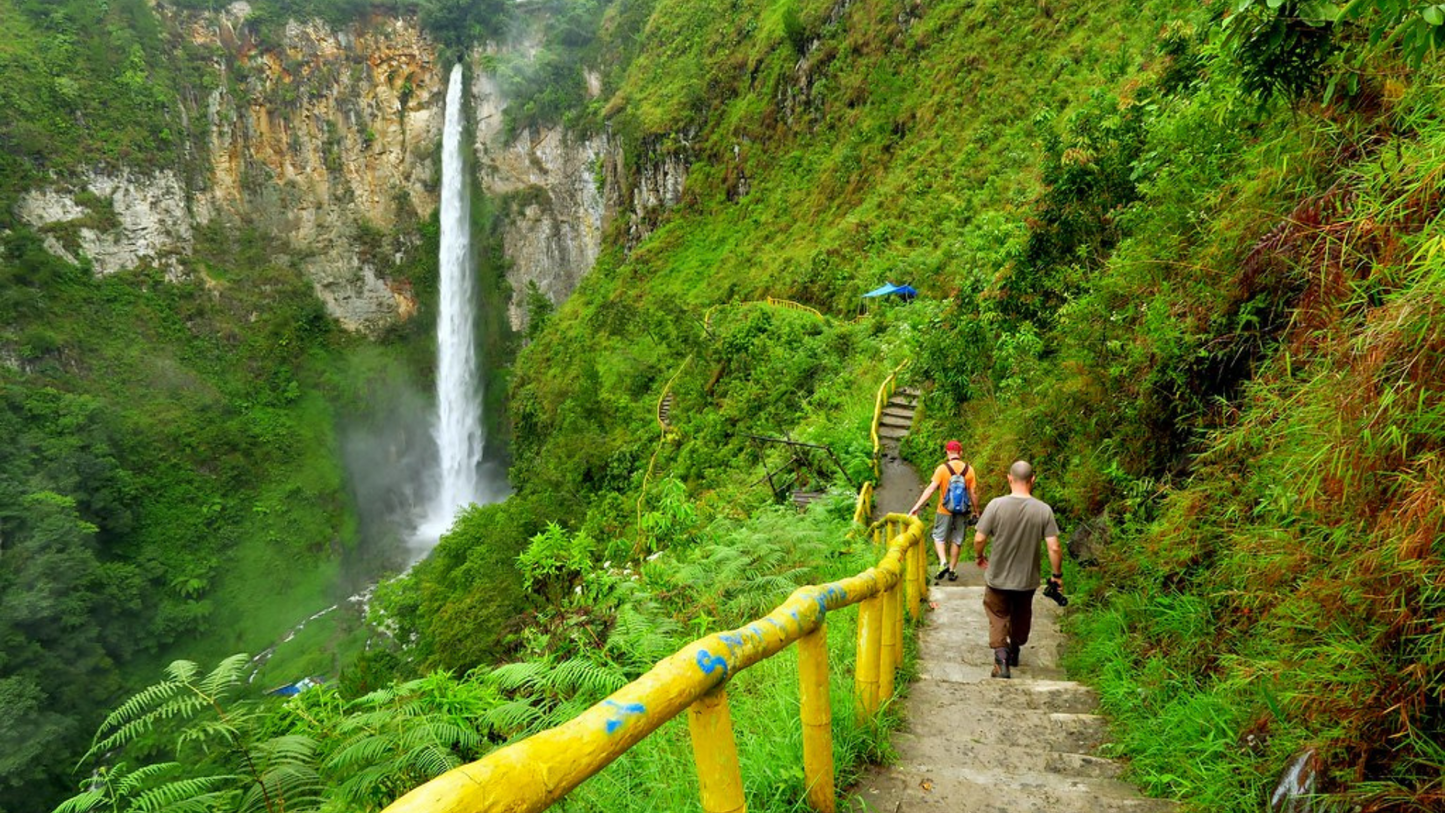 SUMATRA WILDLIFE & LAKE TOBA TOUR (5 NIGHTS & 6 DAYS )