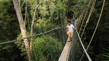 MALAYSIA ADVENTURE & WILDLIFE TOUR (5 NIGHTS & 6 DAYS )