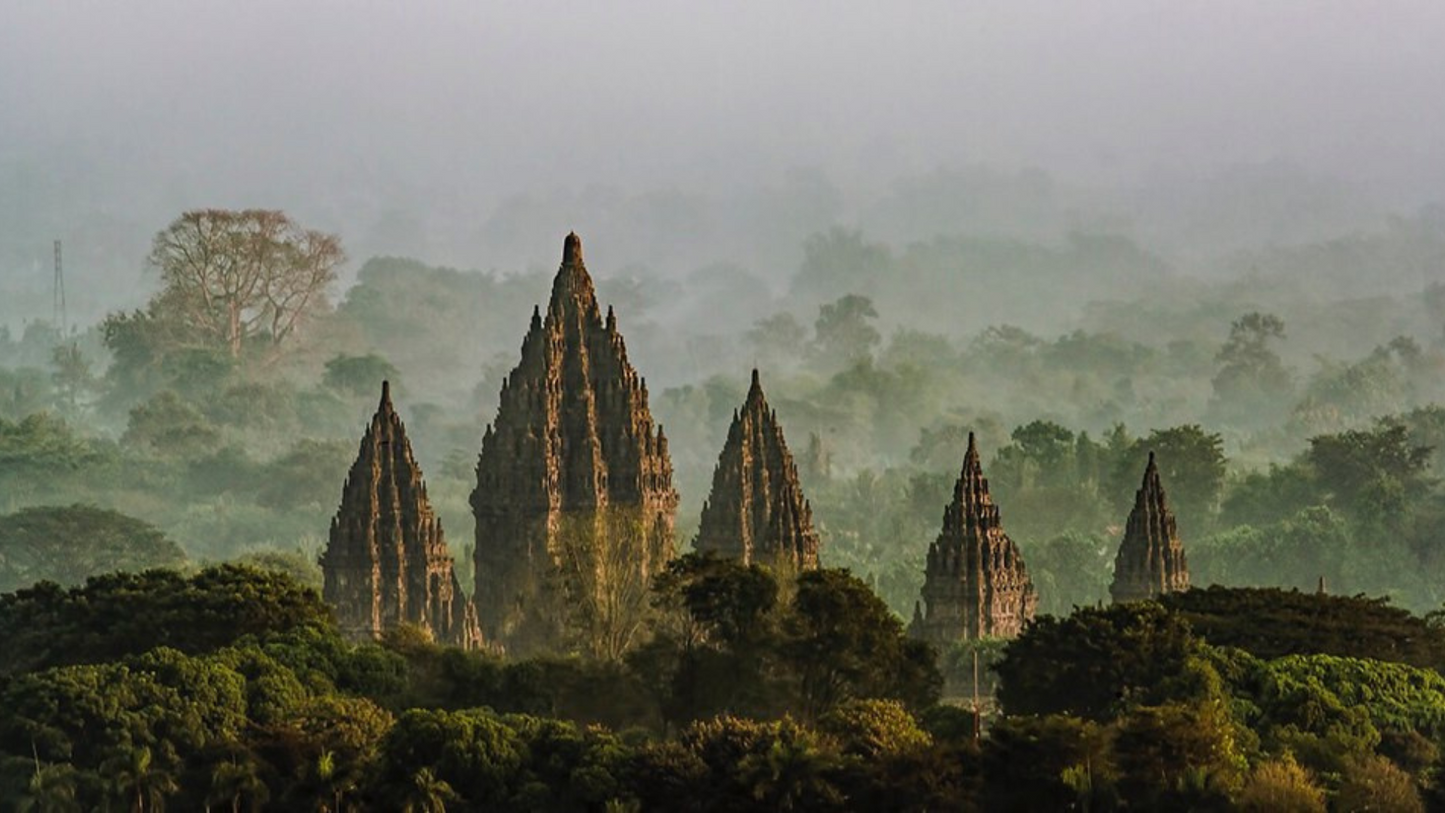 SUMATRA WILDLIFE & LAKE TOBA TOUR (5 NIGHTS & 6 DAYS )