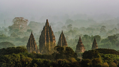 SUMATRA WILDLIFE & LAKE TOBA TOUR (5 NIGHTS & 6 DAYS )