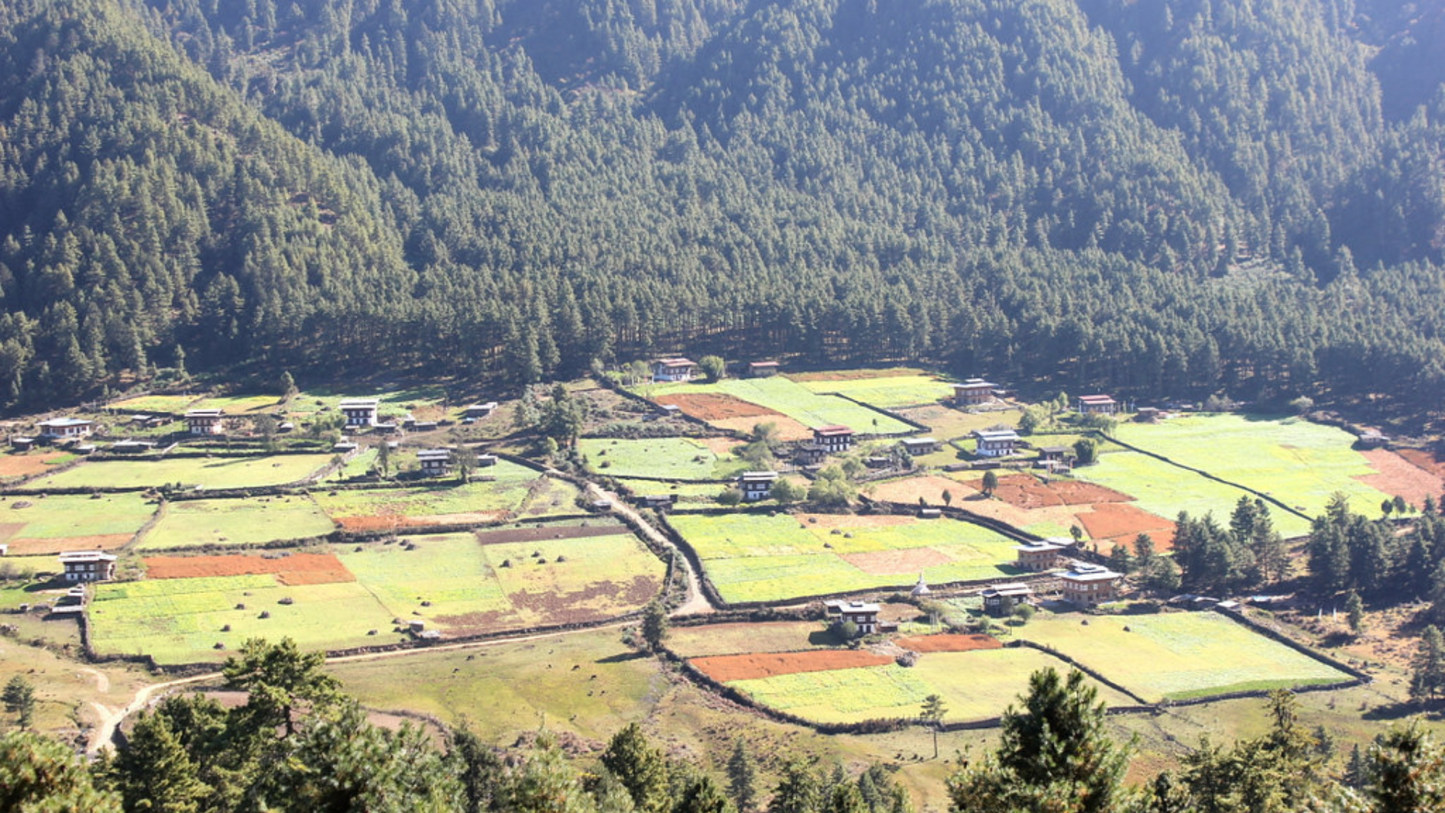 ADVENTURE BHUTAN – TREK & RAFT (07 NIGHTS/08 DAYS)
