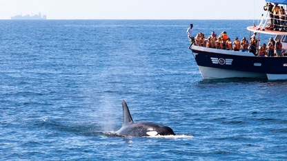 SRI LANKA BUDGET BACKPACKING TOUR (6N/7D)