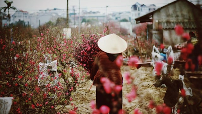 NORTHERN VIETNAM ADVENTURE (5N/6D)