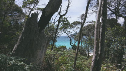 TASMANIA WILDERNESS RETREAT (06 NIGHTS & 07 DAYS)