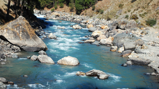 KASOL & TIRTHAN VALLEY NATURE TOUR 4 NIGHTS & 5 DAYS