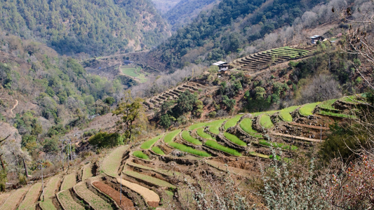 SPIRITUAL BHUTAN RETREAT (05 NIGHTS/06 DAYS)