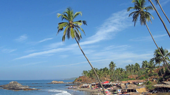 GOA HOLIDAY PACKAGE