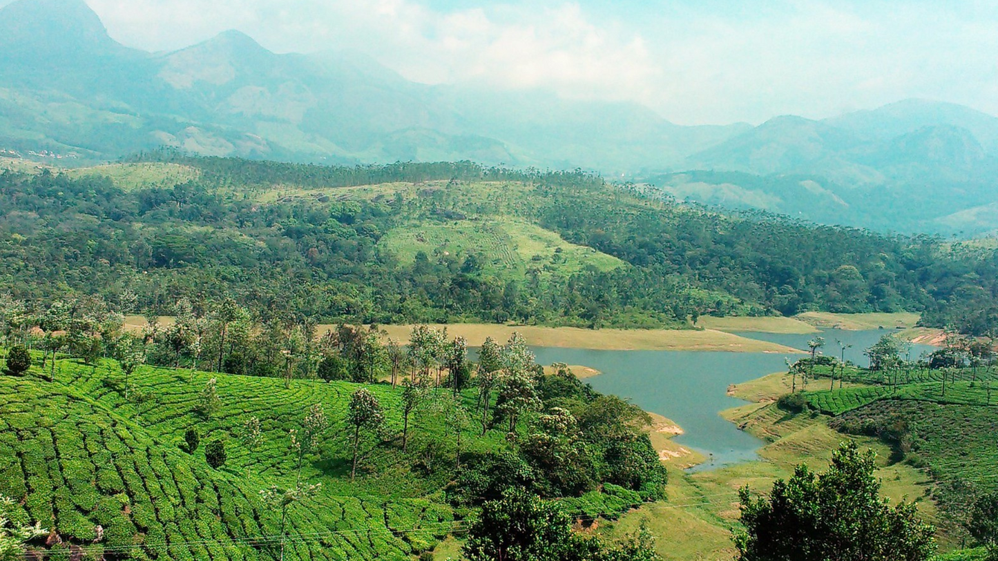 THE ULTIMATE KERALA EXPERIENCE MUNNAR, ALLEPPEY & THEKKADY 3 NIGHTS 4 DAYS